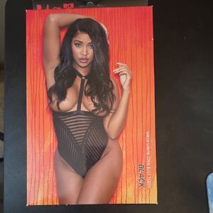 Hot & Delicious Black Sheer Stripe Teddy